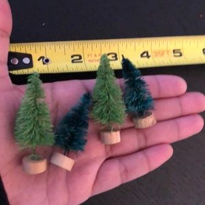 Tiny Bottlebrush Trees